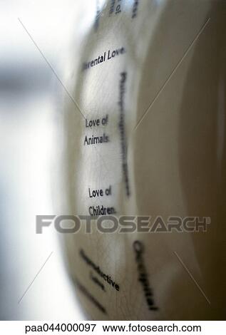 Love of Animals, Love of Children printed text, blurred View Large Photo Image Stock Photo - Love of Animals, Love of Children printed text, blurred. Fotosearch