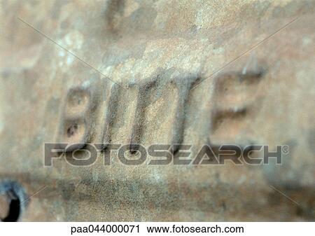 Please raised text in german, close-up, blurred View Large Photo Image Stock Image - Please raised text in german, close-up, blurred. Fotosearch
