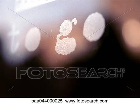 to go text, close-up View Large Photo Image Stock Photography - to go text, close-up. Fotosearch