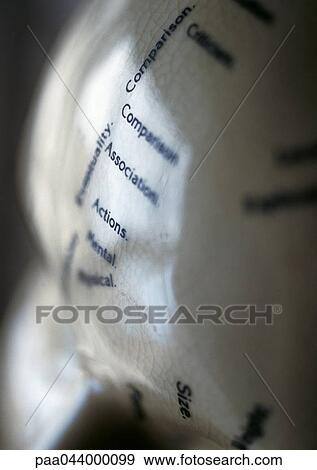 Words printed on curved surface View Large Photo Image Stock Photo - Words printed on curved surface. Fotosearch