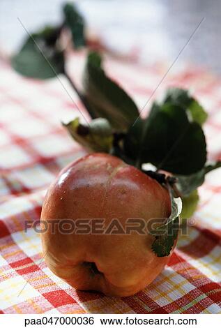 Apple with leaves on checkered tablecloth, close-up View Large Photo Image Stock Photograph - Apple with leaves on checkered tablecloth, close-up. Fotosearch