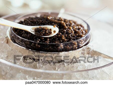 Caviar in ice and on white spoon, close-up View Large Photo Image Stock Image - Caviar in ice and on white spoon, close-up. Fotosearch
