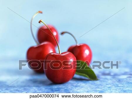 Cherries with stems and leaf, close-up View Large Photo Image Picture - Cherries with stems and leaf, close-up. Fotosearch