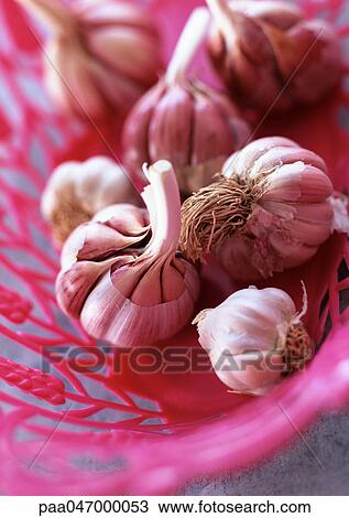 Garlic bulbs in pink basket, close-up View Large Photo Image Stock Image - Garlic bulbs in pink basket, close-up. Fotosearch