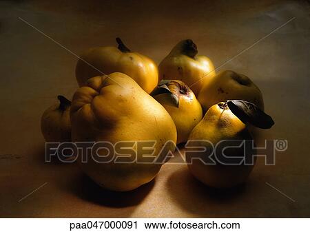 Stock Image - Group of quinces of different sizes in shadow, close-up. Fotosearch