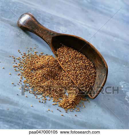 Sesame seeds and wooden scoop, close-up View Large Photo Image Stock Photography - Sesame seeds and wooden scoop, close-up. Fotosearch