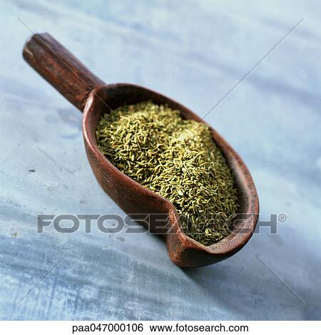 Stock Photograph - Wooden scoop full of anise seeds, close-up. Fotosearch