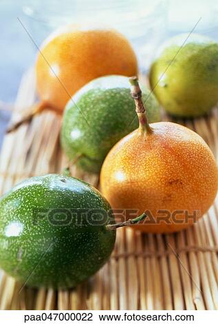 Yellow and green guavas with stems on bamboo mat, close-up View Large Photo Image Stock Image - Yellow and green guavas with stems on bamboo mat, close-up. Fotosearch