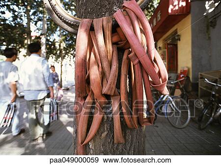 China, Beijing, rubber tubes hanging next to tree, people in background View Large Photo Image Stock Photo - China, Beijing, rubber tubes hanging next to tree, people in background. Fotosearch