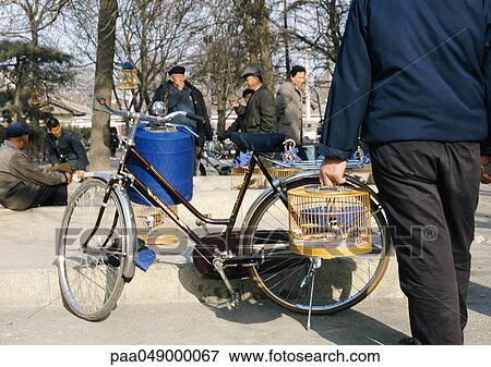 Stock Photo - China, Hebei Province, Beijing, man holding birdcage, people in background. Fotosearch
