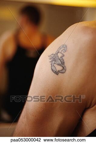 Scorpion tattoo on man's shoulder, close-up View Large Photo Image Stock Image - Scorpion tattoo on man's shoulder, close-up. Fotosearch