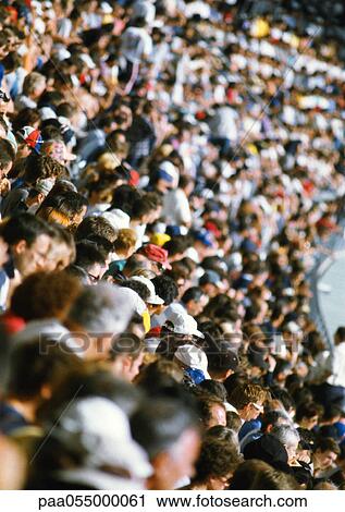 Crowd in stadium, high angle view View Large Photo Image Stock Image - Crowd in stadium, high angle view. Fotosearch