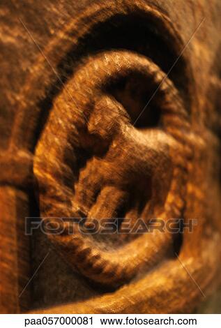 Stock Image - Bas relief of lamb, blurred. Fotosearch