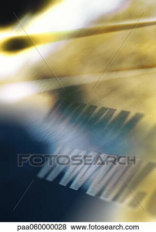 Stock Illustration - WWW text, close-up. Fotosearch