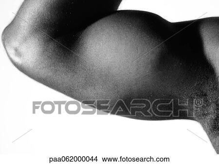 Picture - Man flexing bicep, close up, black and white.. Fotosearch