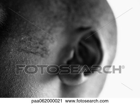 Man's ear, close up, black and white. View Large Photo Image Stock Image - Man's ear, close up, black and white.. Fotosearch