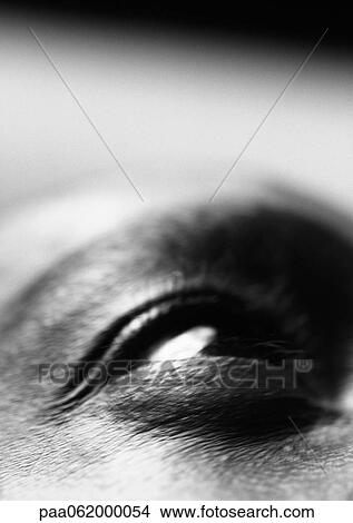 Picture - Man's eye, low angle view, close up, black and white.. Fotosearch