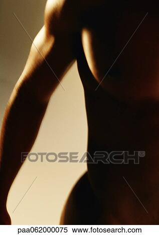 Man's torso, close up View Large Photo Image Stock Photography - Man's torso, close up. Fotosearch