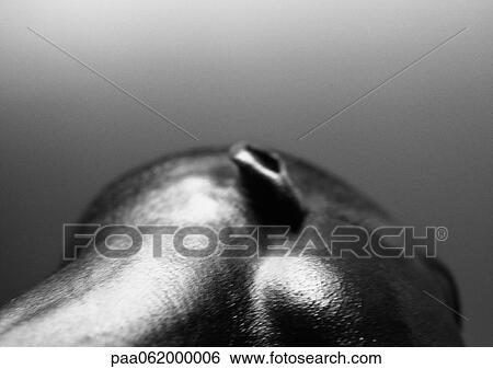 Stock Photograph - Side of man's head, low angle view, close up.. Fotosearch