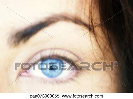 Woman's blue eye, eyebrow raised, blurred close up. View Large Photo Image Stock Photography - Woman's blue eye, eyebrow raised, blurred close up.. Fotosearch