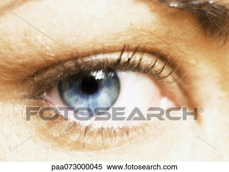 Woman's blue eye, front view, close-up View Large Photo Image Stock Photography - Woman's blue eye, front view, close-up. Fotosearch