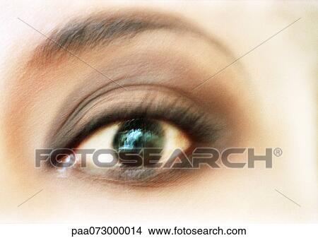 Woman's brown eye, blurred front view. View Large Photo Image Picture - Woman's brown eye, blurred front view.. Fotosearch