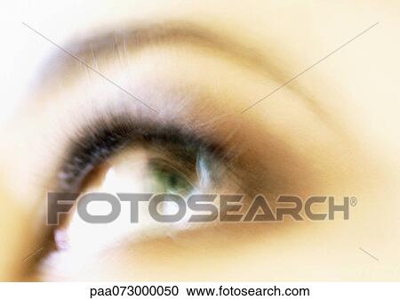 Woman's eye looking away, blurred close up. View Large Photo Image Stock Image - Woman's eye looking away, blurred close up.. Fotosearch