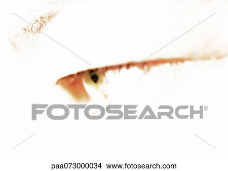 Picture - Woman's eye, overexposed, close up.. Fotosearch