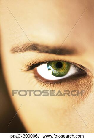 Stock Photo - Woman's green eye and eyebrow, extreme close up.. Fotosearch
