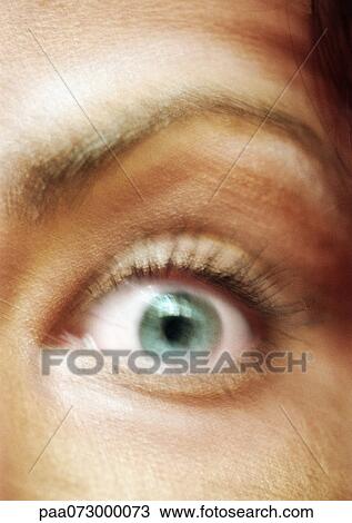 Woman's green eye and raised eyebrow, close-up, blurred. View Large Photo Image Stock Image - Woman's green eye and raised eyebrow, close-up, blurred.. Fotosearch