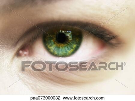Stock Image - Woman's green eye, close up.. Fotosearch