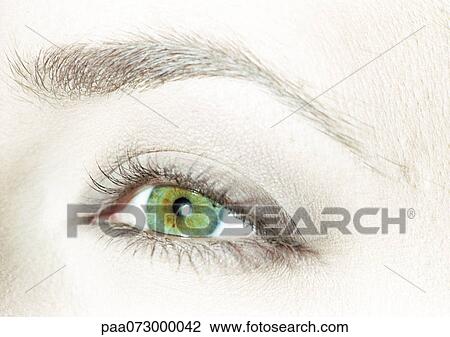 Woman's green eye, close-up View Large Photo Image Stock Image - Woman's green eye, close-up. Fotosearch
