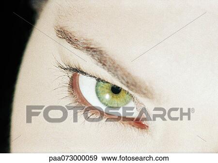 Stock Photo - Woman's green eye, close up.. Fotosearch