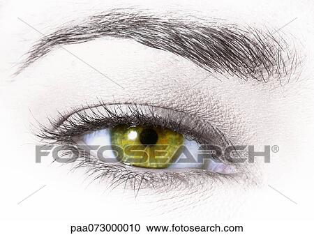 Woman's green eye, extreme close-up View Large Photo Image Stock Image - Woman's green eye, extreme close-up. Fotosearch