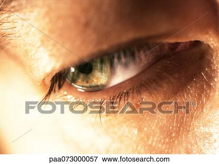 Woman's green eye looking down, close up. View Large Photo Image Stock Photo - Woman's green eye looking down, close up.. Fotosearch