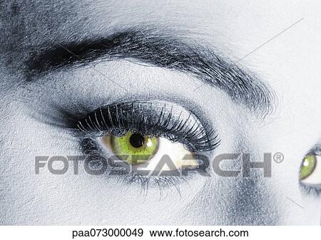 Woman's green eyes View Large Photo Image Stock Photo - Woman's green eyes. Fotosearch