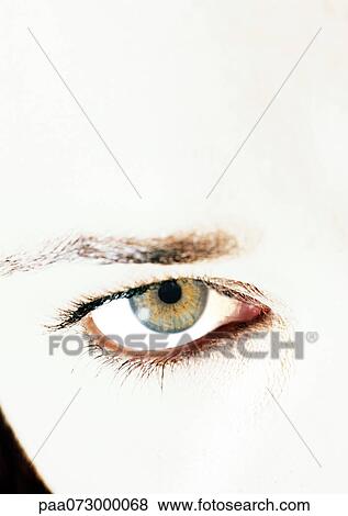 Woman's hazel eye, close up. View Large Photo Image Stock Photo - Woman's hazel eye, close up.. Fotosearch