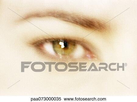 Woman's hazel eye, front view, blurred close up. View Large Photo Image Stock Photography - Woman's hazel eye, front view, blurred close up.. Fotosearch