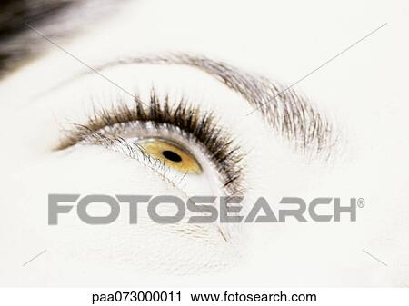 Woman's hazel eye looking up, close up. View Large Photo Image Stock Image - Woman's hazel eye looking up, close up.. Fotosearch