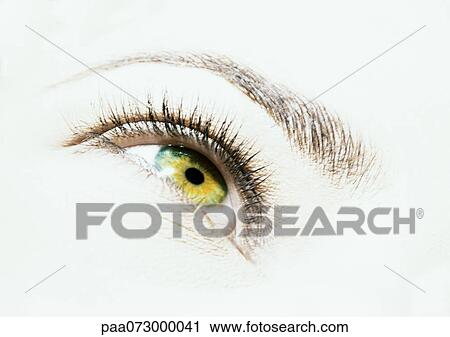 Woman's hazel eye, view from below. View Large Photo Image Stock Image - Woman's hazel eye, view from below.. Fotosearch