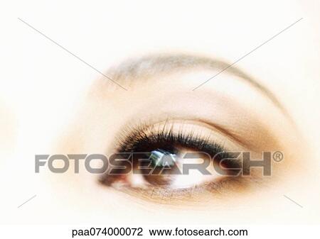 Woman's brown eye, close-up View Large Photo Image Stock Image - Woman's brown eye, close-up. Fotosearch