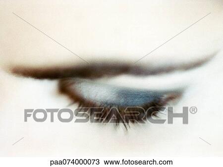 Woman's closed eye with blue eye shadow, close-up View Large Photo Image Stock Image - Woman's closed eye with blue eye shadow, close-up. Fotosearch