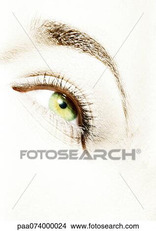 Woman's green eye, close-up View Large Photo Image Picture - Woman's green eye, close-up. Fotosearch