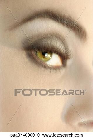 Woman's hazel eye, close-up View Large Photo Image Stock Image - Woman's hazel eye, close-up. Fotosearch