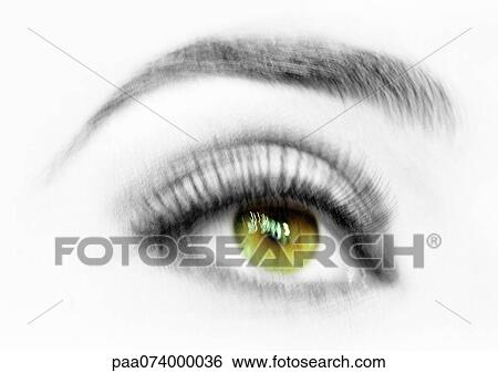 Woman's made-up eye, close-up View Large Photo Image Stock Photograph - Woman's made-up eye, close-up. Fotosearch
