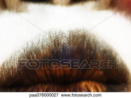 Stock Photo - Extreme close up of woman's lip, partial view. Fotosearch