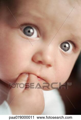 Baby looking at camera, fingers in mouth, close up. View Large Photo Image Stock Image - Baby looking at camera, fingers in mouth, close up.. Fotosearch