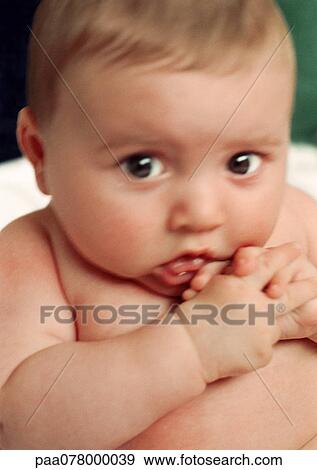 Stock Photo - Baby looking at camera, hands to mouth, close-up. Fotosearch