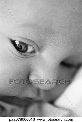 Baby's face, close-up, B&W. View Large Photo Image Stock Photograph - Baby's face, close-up, B&W.. Fotosearch