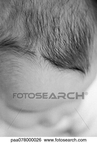 Baby's head, high angle view, close-up, B&W. View Large Photo Image Stock Photograph - Baby's head, high angle view, close-up, B&W.. Fotosearch